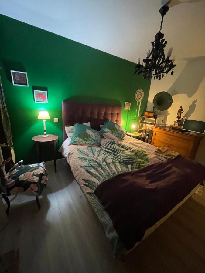 Duud Apartment Castanet-Tolosan Luaran gambar